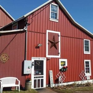 Meet your Posher, Lorie